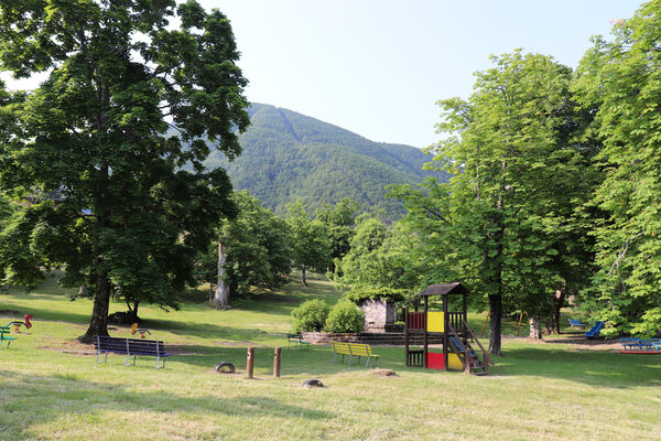 Montecreto, 16.6.2023
Parco del Castangi.
Klíčová slova: Emilia-Romagna Montecreto Parco del Castangi Ampedus cardinalis Brachygonus campadellii