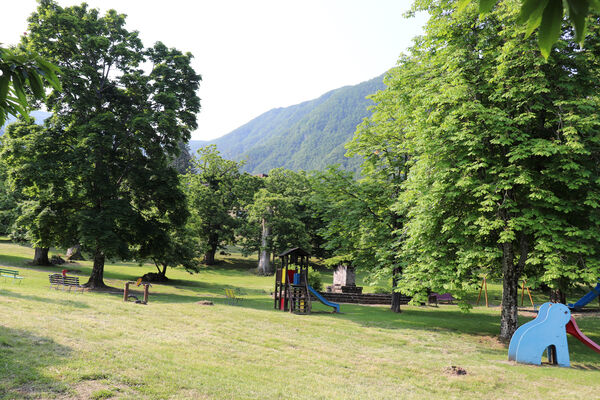 Montecreto, 16.6.2023
Parco del Castangi.
Mots-clés: Emilia-Romagna Montecreto Parco del Castangi Ampedus cardinalis Brachygonus campadellii