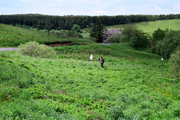 Monts Dore, 5.6.2005
Lac de Guéry. Vegetace u jezera - biotop kovaříků Poemnites aeratus.
Klíčová slova: Puy-de-Dome Monts Dore Lac de Guéry Poemnites aeratus Dušánek