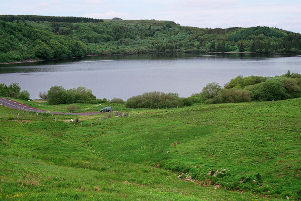 Monts Dore, 5.6.2005
Lac de Guéry. Pastvina u jezera - biotop kovaříků Aplotarsus angustulus a Poemnites aeratus.
Schlüsselwörter: Puy-de-Dome Monts Dore Lac de Guéry Aplotarsus angustulus Poemnites aeratus