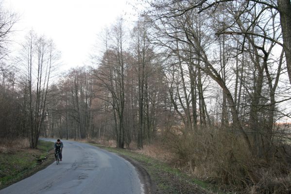 Moravská Třebová, Sušice, 26.2.2016
Meandry Kunčinského potoka  u silnice na Kunčice.
Klíčová slova: Moravská Třebová Sušice Kunčinský potok Calambus bipustulatus