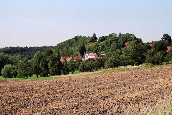 Jenišovice, 31.7.2004
Mravín.
Klíčová slova: Jenišovice Mravín Quasimus minutissimus