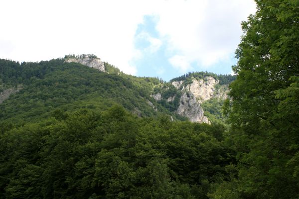 Muráň, 14.7.2007
Muránska planina. Pohled ze Suchého dolu na rezervaci Poludnica.
Schlüsselwörter: Muránska planina Muráň Suchý dol Poludnica Cardiophorus atramentarius