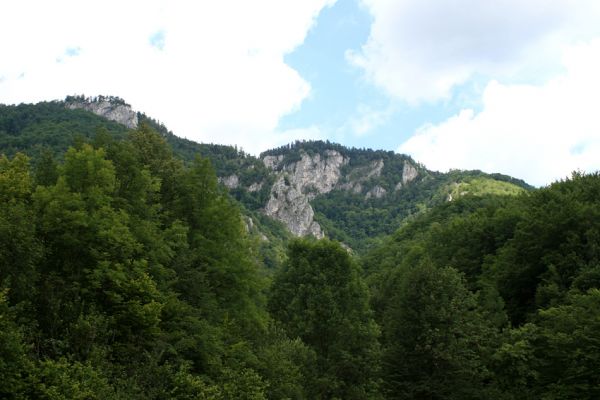 Muráň, 14.7.2007
Muránska planina. Pohled ze Suchého dolu na rezervaci Poludnica.
Klíčová slova: Muránska planina Muráň Suchý dol Poludnica Cardiophorus atramentarius