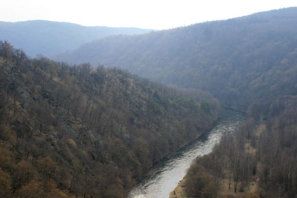 Podmolí - kaňon Dyje, 28.3.2007
Hřbet mezi Žlebským potokem a Dyjí.
Klíčová slova: Podmolí Podyjí Dyje