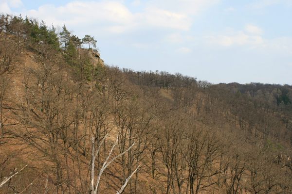 Podmolí - kaňon Dyje, 28.3.2007
Pohled na suťové lesy Liščí skály od jihozápadu. 
Mots-clés: Podmolí Podyjí Liščí skála