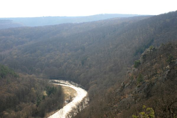 Podmolí - kaňon Dyje, 28.3.2007
Pohled z Liščí skály k jihozápadu.
Mots-clés: Podmolí Podyjí Liščí skála Dyje