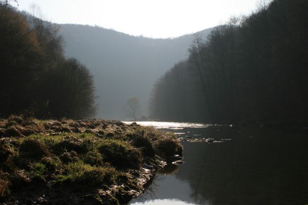 Podmolí - kaňon Dyje, 2.4.2007
Dyje u soutoku se Žlebským potokem. Pohled na východ. 
Keywords: Podmolí Podyjí Žlebský potok Dyje