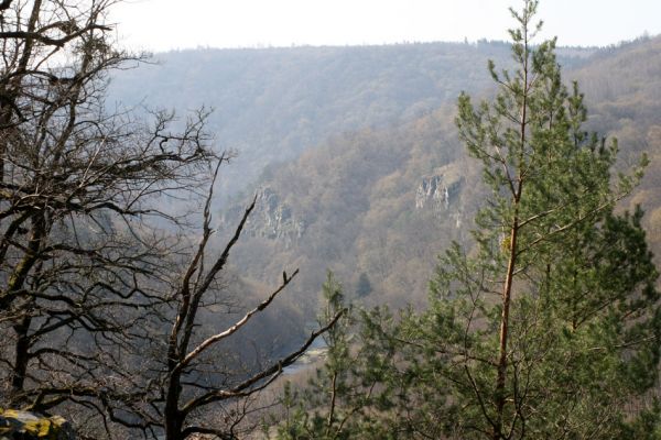 Podmolí - kaňon Dyje, 2.4.2007
Kaňon Dyje. Pohled z Kozího hřbetu k jihu na Steinere Wand.
Klíčová slova: Podmolí Podyjí Kozí hřbet Dyje Steinere Wand