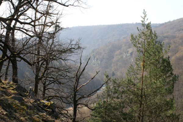 Podmolí - kaňon Dyje, 2.4.2007
Kaňon Dyje. Pohled z Kozího hřbetu k jihu na Steinere Wand.
Mots-clés: Podmolí Podyjí Kozí hřbet Dyje Steinere Wand