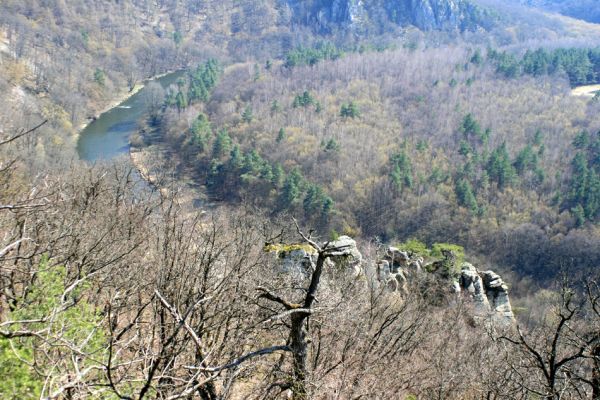 Podmolí - kaňon Dyje, 2.4.2007
Pohled z Liščí skály na Dyji.
Schlüsselwörter: Podmolí Podyjí Liščí skála Dyje