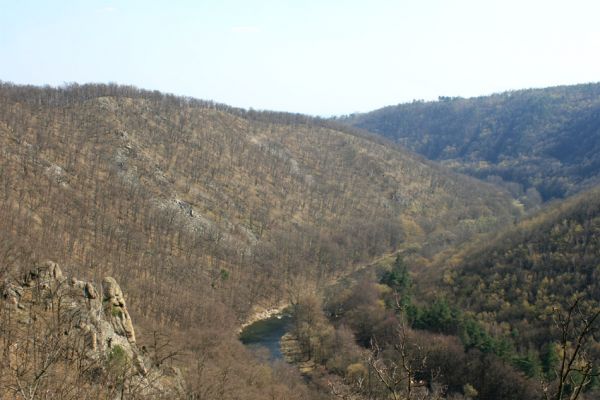 Podmolí - kaňon Dyje, 2.4.2007
Suťové lesy nad Lipinskou loukou.
Klíčová slova: Podmolí Podyjí Lipinská louka