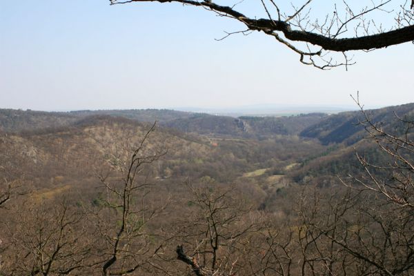 Podmolí - kaňon Dyje, 2.4.2007
Pohled od Železných schodů na Šobes.
Klíčová slova: Podmolí Podyjí Železné schody Šobes