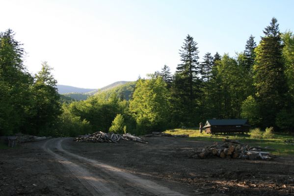 Nová Sedlica, 10.5.2014
Dolina Zbojského potoka - Medová baba. Svoziště dřeva v "NP" Poloniny...


Klíčová slova: Nová Sedlica Zbojský potok dolina Medová baba