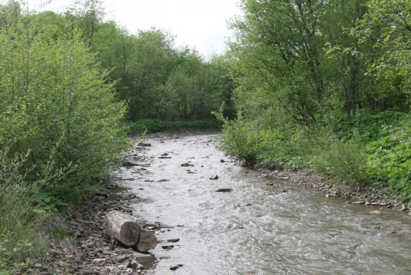 Nová Sedlica, 9.5.2014
Meandry Zbojského potoka.



Klíčová slova: Nová Sedlica Zbojský potok