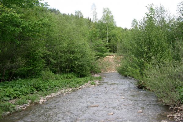 Nová Sedlica, 9.5.2014
Meandry Zbojského potoka.



Mots-clés: Nová Sedlica Zbojský potok