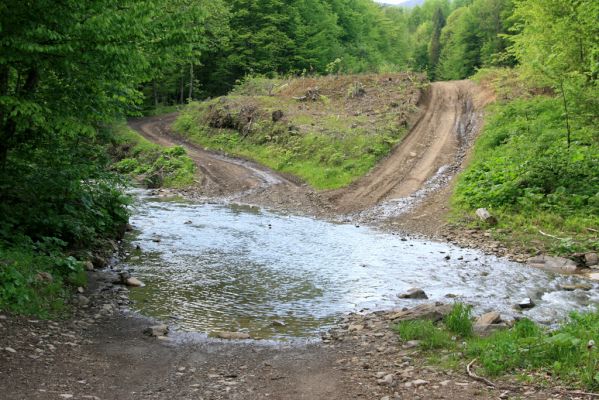 Nová Sedlica, 9.5.2014
Dolina Zbojského potoka - těžařský brod



Klíčová slova: Nová Sedlica Zbojský potok dolina