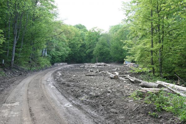 Nová Sedlica, 9.5.2014
Dolina Zbojského potoka u polovnické chaty. Svoziště dřeva v NP Poloniny...



Keywords: Nová Sedlica Zbojský potok dolina