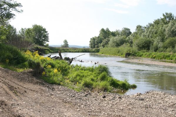 Nacina Ves, 30.4.2012
Meandry Laborce.



Klíčová slova: Nacina Ves řeka Laborec
