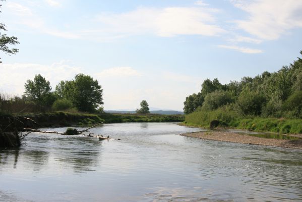 Nacina Ves, 30.4.2012
Meandry Laborce.



Klíčová slova: Nacina Ves řeka Laborec