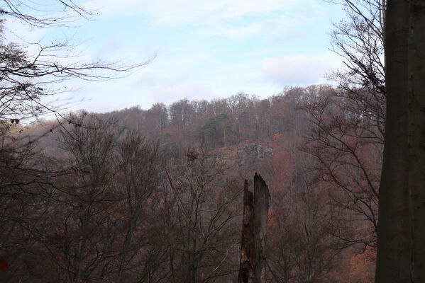 Blatno, Šerchov, 7.11.2022
Suťový les nad údolím Malé vody.
Keywords: Krušné hory Blatno Šerchov suťový les