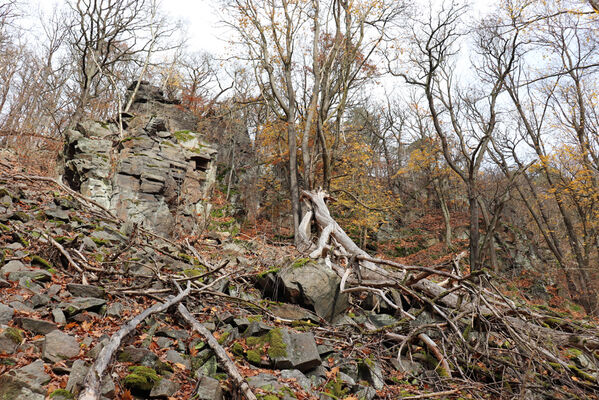 Blatno, Květnov, 7.11.2022
Suťový les nad údolím Malé vody.
Keywords: Krušné hory Blatno Květnov suťový les Malá voda Najštejn