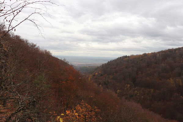 Blatno, Květnov, 7.11.2022
Suťové lesy nad údolím Malé vody.
Keywords: Krušné hory Blatno Květnov suťový les Malá voda Najštejn