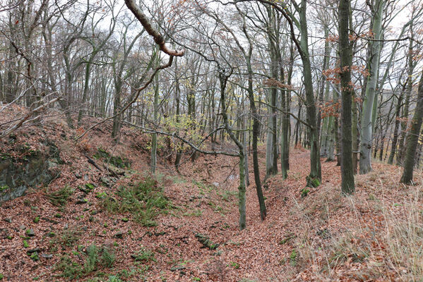 Blatno, Květnov, 7.11.2022
Najštejn.
Keywords: Krušné hory Blatno Květnov suťový les Najštejn