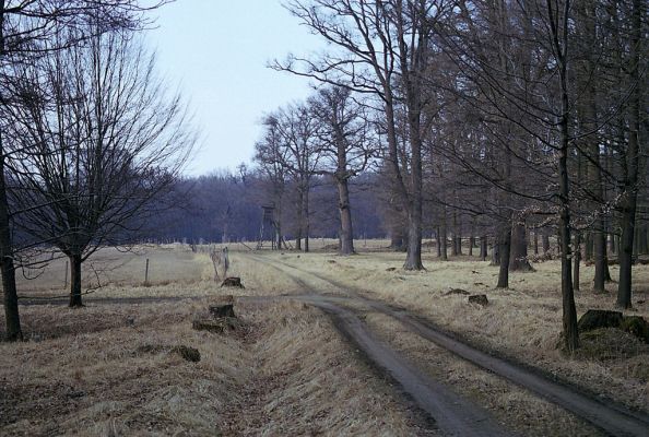 Náměšť nad Oslavou, 25.3.2003
Obora Kralice. Louka se solitérními duby.l


Keywords: Náměšť nad Oslavou Obora Kralice