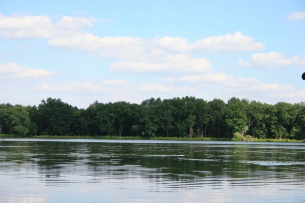 Nasavrky - Libáň, 14.8.2012
Pařezný rybník.



Klíčová slova: Nasavrky Libáň Pařezný rybník