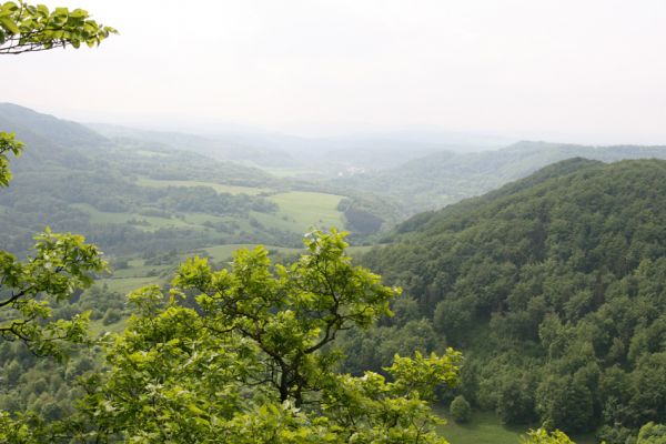 Stráž nad Ohří, vrch Nebesa, 9.5.2009
Pohled k jihu.
Klíčová slova: Stráž nad Ohří Nebesa