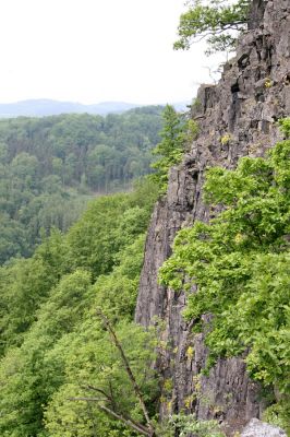 Stráž nad Ohří, vrch Nebesa, 9.5.2009
Skála na západním svahu.
Schlüsselwörter: Stráž nad Ohří Nebesa