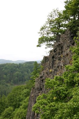 Stráž nad Ohří, vrch Nebesa, 9.5.2009
Skála na západním svahu.
Mots-clés: Stráž nad Ohří Nebesa