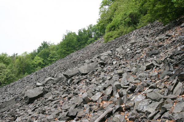 Stráž nad Ohří, vrch Nebesa, 9.5.2009
Obří suťoviště na západním svahu.
Klíčová slova: Stráž nad Ohří Nebesa