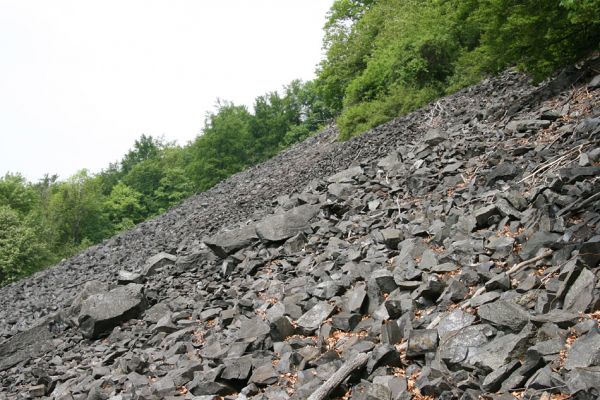 Stráž nad Ohří, vrch Nebesa, 9.5.2009
Obří suťoviště na západním svahu.
Schlüsselwörter: Stráž nad Ohří Nebesa