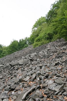 Stráž nad Ohří, vrch Nebesa, 9.5.2009
Obří suťoviště na západním svahu.
Schlüsselwörter: Stráž nad Ohří Nebesa Idolus picipennis Dušánek