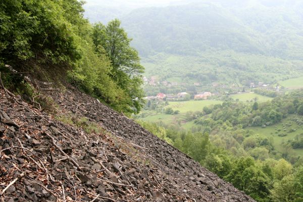 Stráž nad Ohří, vrch Nebesa, 9.5.2009
Obří suťoviště na západním svahu.
Klíčová slova: Stráž nad Ohří Nebesa Idolus picipennis