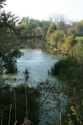 Němčice-Labiště-16.10.2007
Slepé rameno Labiště. Pohled z nájezdu k mostu přes Labe.
Klíčová slova: Němčice Labiště slepé rameno