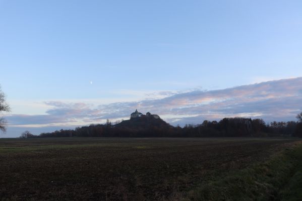 Němčice, 23.11.2020
Pohled na Kunětickou horu.
Klíčová slova: Němčice Kunětická hora