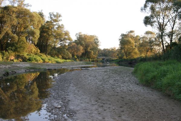 Nemcovce, 17.9.2014
Meandry Topľy.



Mots-clés: Nemcovce řeka Topľa