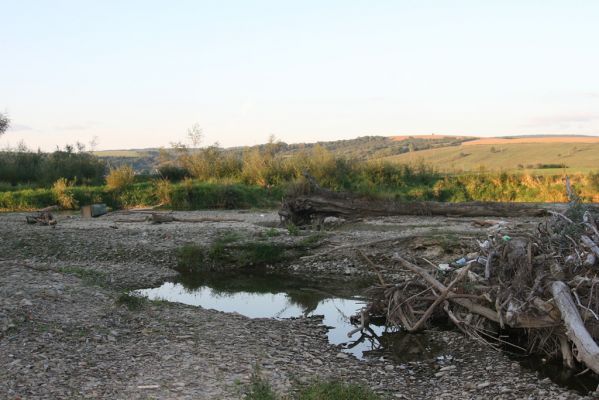 Nemcovce, 17.9.2014
Meandry Topľy.



Schlüsselwörter: Nemcovce řeka Topľa