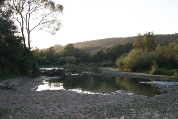 Nemcovce, 17.9.2014
Meandry Topľy.



Mots-clés: Nemcovce řeka Topľa