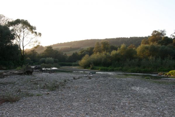 Nemcovce, 17.9.2014
Meandry Topľy.



Klíčová slova: Nemcovce řeka Topľa