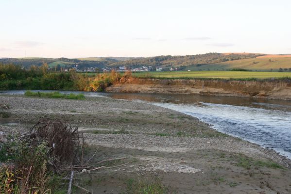 Nemcovce, 17.9.2014
Meandry Topľy. V pozadí obec Kurima.



Mots-clés: Nemcovce řeka Topľa Kurima