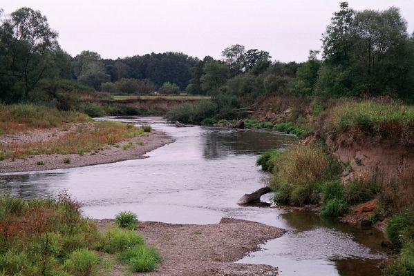 Nepasice, 11.9.2004
Meandry Orlice.

Klíčová slova: Nepasice meandry Orlice