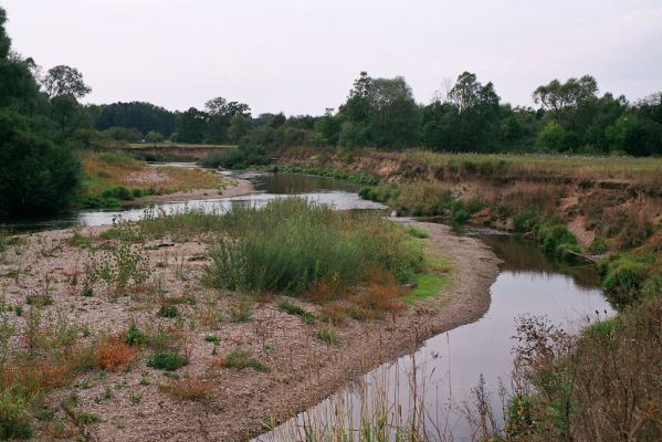 Nepasice, 11.9.2004
Meandry Orlice.



Mots-clés: Nepasice meandry Orlice Zorochros dermestoides quadriguttatus