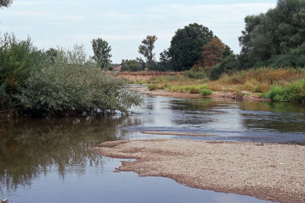 Nepasice, 11.9.2004
Meandry Orlice.

Keywords: Nepasice meandry Orlice