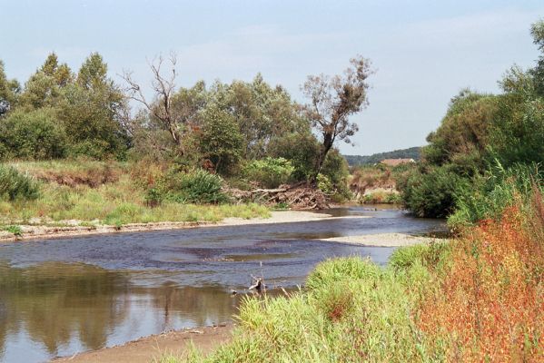 Nepasice, 11.9.2004
Meandry Orlice.
Mots-clés: Nepasice meandry Orlice