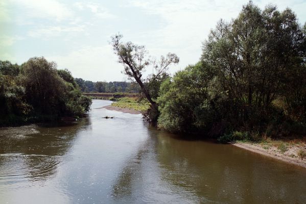 Nepasice, 11.9.2004
Meandry Orlice.
 


Klíčová slova: Nepasice meandry Orlice