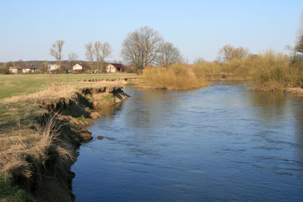 Nepasice, řeka Orlice, 7.2005
Meandry Orlice u obce Nepasice (v pozadí).
Klíčová slova: Nepasice Orlice Dolní Poorličí